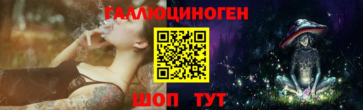 где можно купить наркотик  Галлюциногенные грибы Psilocybe  Вход с VPN  Елабуга 